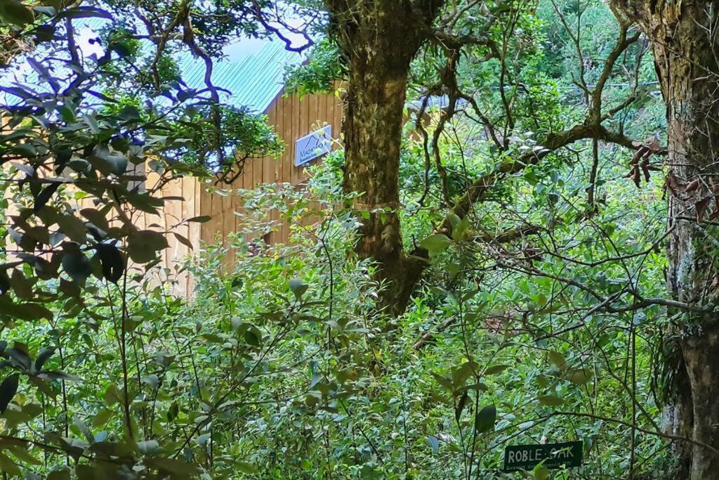 Cabana El Descanso #1, Macho Mora Mountain Lodge Alaska ภายนอก รูปภาพ